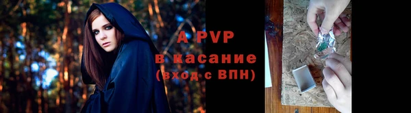 стафф Белокуриха