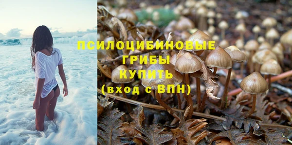 spice Белоозёрский