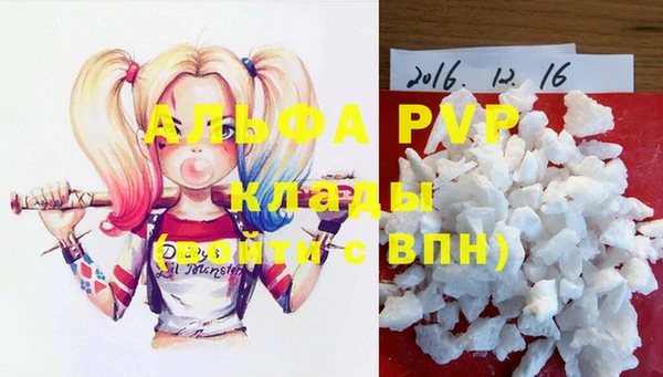 стафф Белокуриха